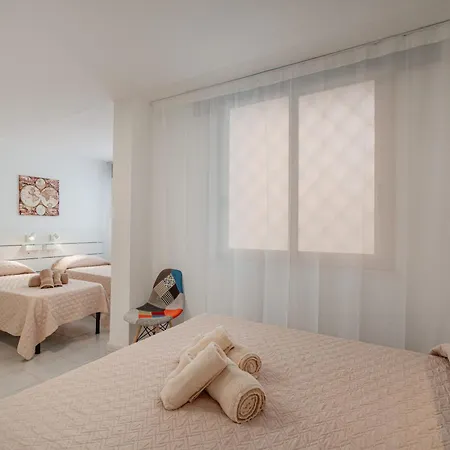 Domo De Centro, Centro Di Olbia