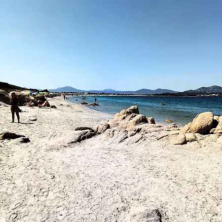 Domo De Centro, Centro Di Affittacamere Olbia