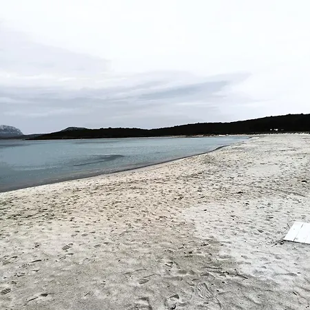 Affittacamere Domo De Centro, Centro Di Olbia