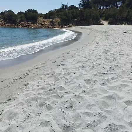 Domo De Centro, Centro Di 3*