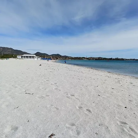 Domo De Centro, Centro Di Olbia