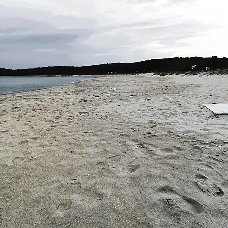 Domo De Centro, Centro Di Affittacamere