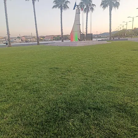 Domo De Centro, Centro Di Olbia