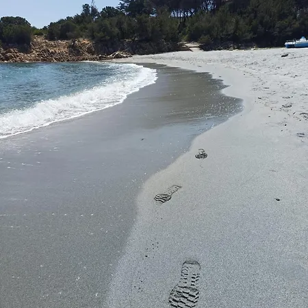 Domo De Centro, Centro Di