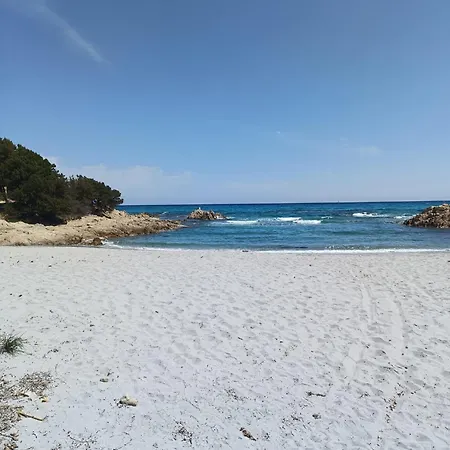 Domo De Centro, Centro Di Olbia