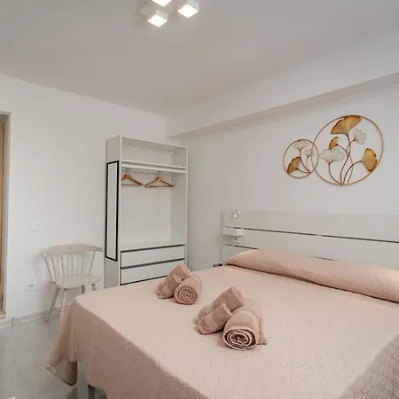 بيت ضيافة Domo De Centro, Centro Di أولبيا